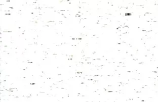 XXX Câu lạc phim sẽ viétup bộ ăn trưa