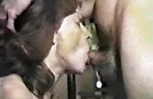 XXX yêu phim se x vietbus thích của tôi milf IV